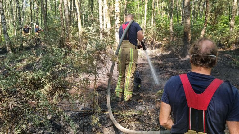 Réchauffement climatique et feux de forêts : à quoi la Belgique doit-elle s'attendre ?