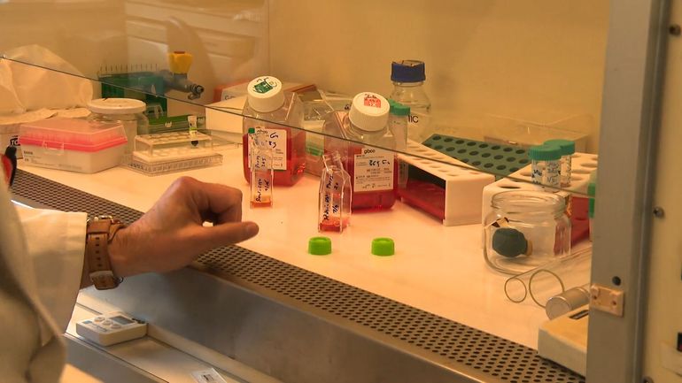 Journée de lutte contre le cancer : beaucoup d'espoir dans les traitements sur mesure