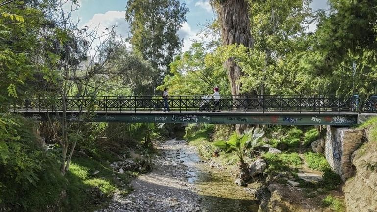 A Athènes, la lutte pour préserver des cours d'eau au milieu du béton A Athènes, la lutte pour préserver des cours d'eau au milieu du béton