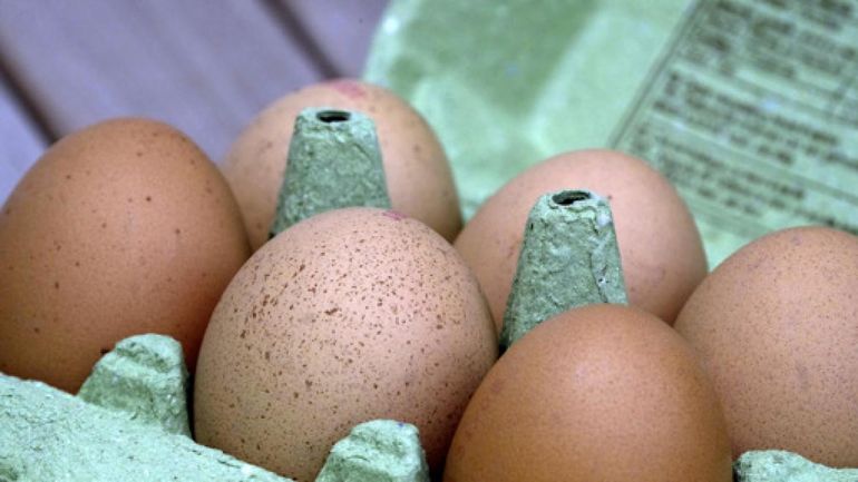 Le prix des oeufs atteint des sommets