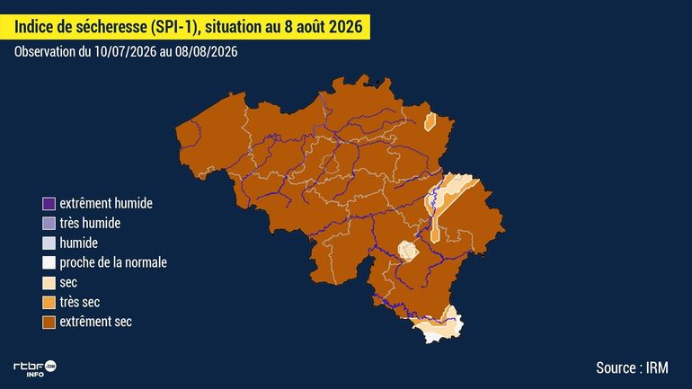 Pas de pluie et des températures qui remontent : la Belgique se prépare à une période d'extrême sécheresse