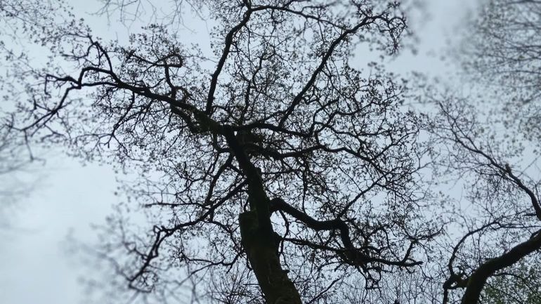 Météo de ce samedi : pluie et douceur Météo de ce samedi : pluie et douceur