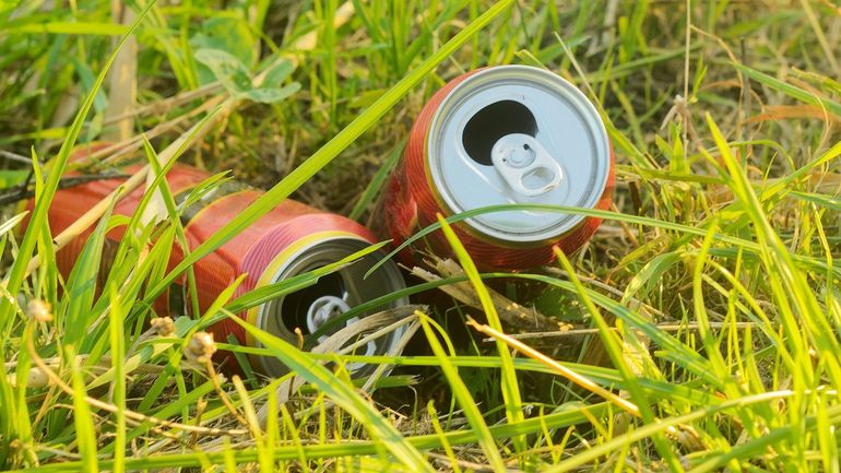 La consigne sur canette, une nécessité pour lutter contre les déchets sauvages, selon la FWA