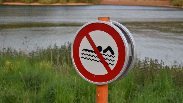 Nager en eau libre deviendra un droit en Flandre au plus tard le 1er juin 2027