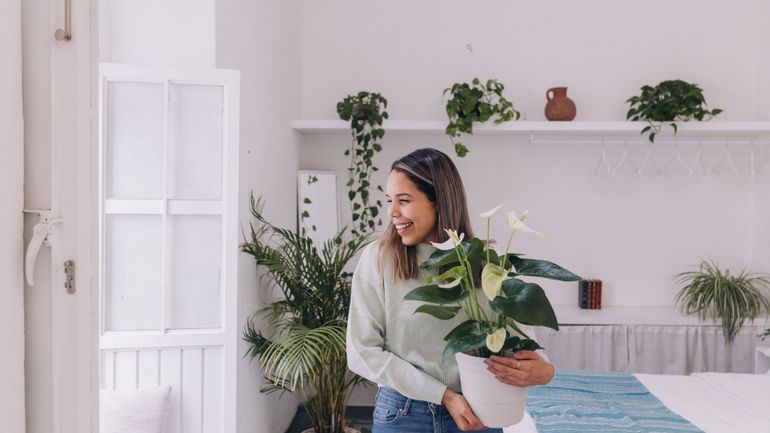 Dormir avec des plantes : est-ce dangereux ? Dormir avec des plantes : est-ce dangereux ?