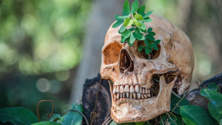 A l'abordage ?! Connaissez-vous la "biopiraterie"?