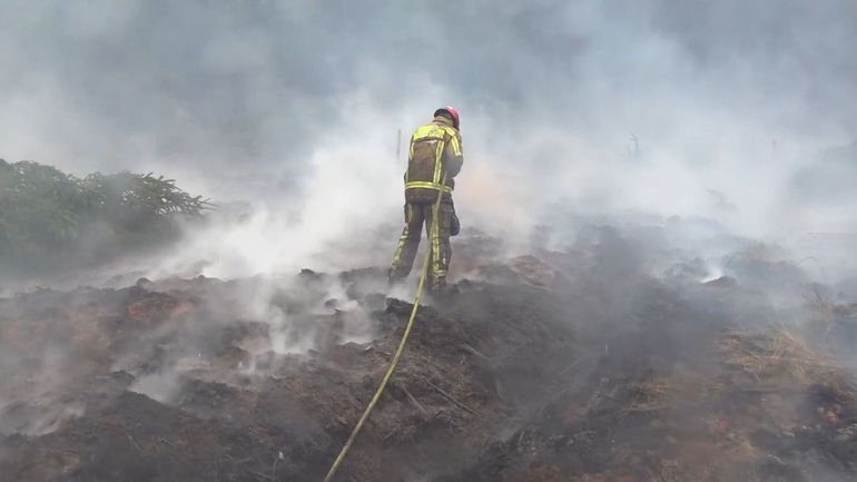 Dans les Hautes Fagnes, 250 pompiers mobilisés pour contenir l'incendie
