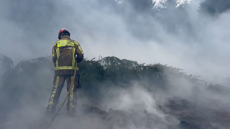Incendie dans les Fagnes : après les fortes pluies, où en est la situation ?