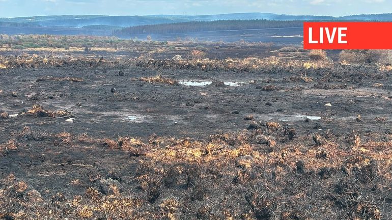 Direct - Incendie dans les Hautes Fagnes : une route en ballast permet de faire le tour de l'incendie désormais sous contrôle
