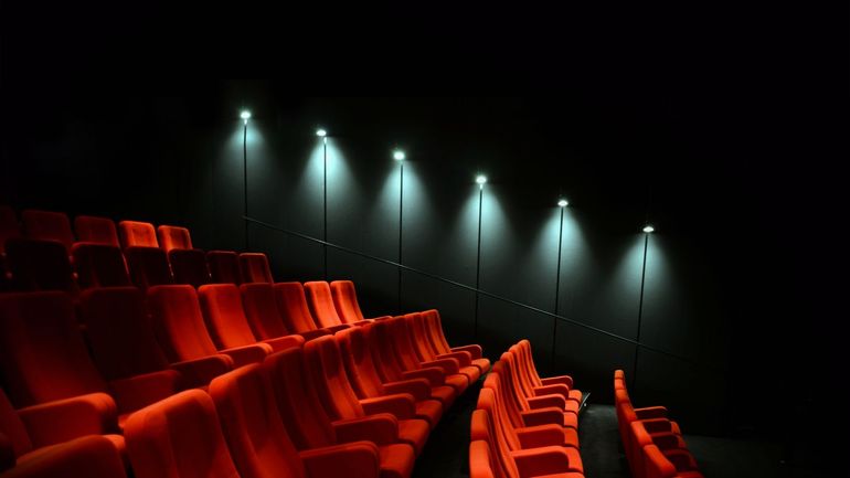 Cinéma belge francophone : entre succès en festivals et chute en salles, un bilan 2025 contrasté