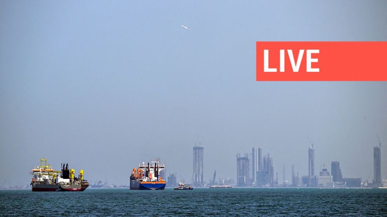 Direct - Guerre au Moyen-Orient : les membres de l'AIE libèrent 400 millions de barils de pétrole de leurs stocks stratégiques, le déblocage "le plus important" de son histoire