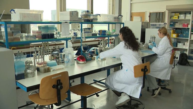 BELSPO dans le viseur des économies fédérales : la recherche et les musées inquiets