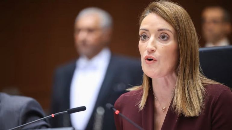 Députée européenne et maman : un nouveau droit pour voter par procuration voté par le Parlement européen