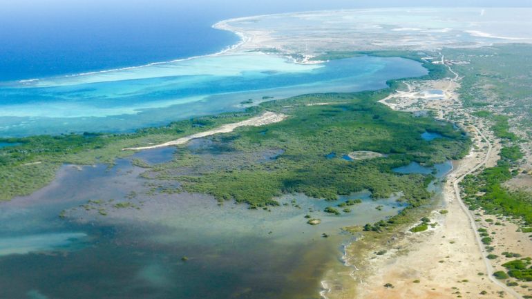Jugement "historique" aux Pays-Bas, sommés de mieux protéger l'île antillaise de Bonaire du changement climatique