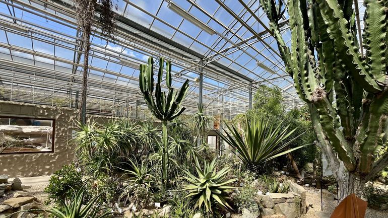 Les biomes de l’Observatoire du Monde des Plantes de l’ULiège : un voyage à travers différents climats de la planète