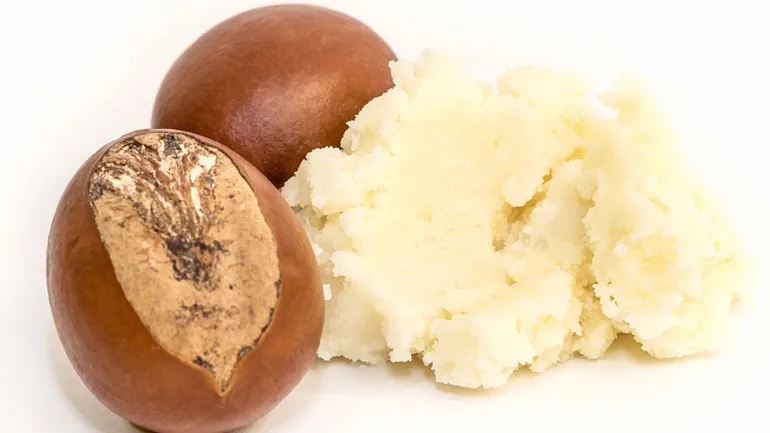 Le karité, l&#x27;allié des peaux asséchées.