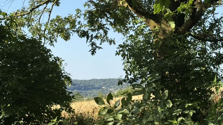 Les 18 marches Adeps du dimanche 23 août en Wallonie
