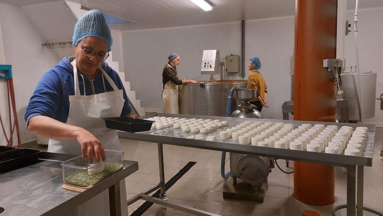 L'agriculture sociale : quand des patients atteints de troubles mentaux participent aux travaux agricoles