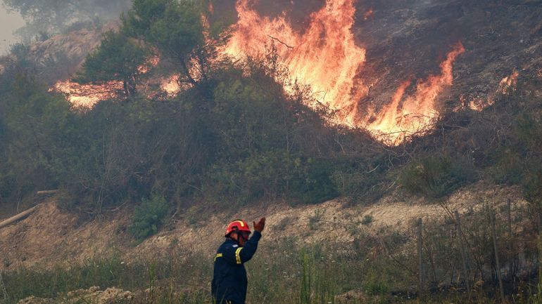 Incendies en Europe : 1100 hectares brûlés en France, des habitations en feu en Angleterre et des centaines d'évacués en Grèce et en Croatie