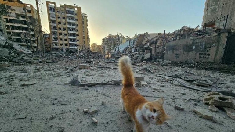 Liban : Israël veut s'emparer d'une zone du sud, trois morts près de Beyrouth