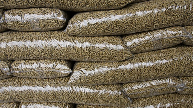 Stockage de pellets : un risque méconnu d'intoxication au monoxyde de carbone