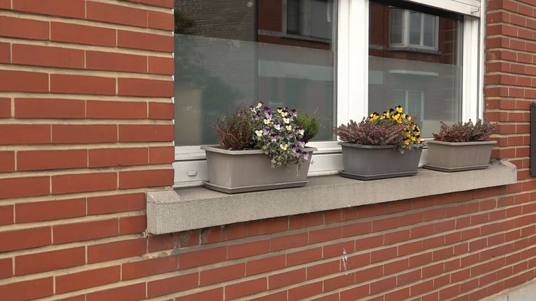 Vols de jardinières à Grivegnée : comment protéger vos fleurs ?