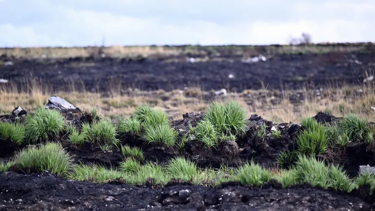 exactement un mois après le début de l'incendie dans la réserve naturelle des Hautes Fagnes, le lundi 14 septembre 2026, à Waimes.