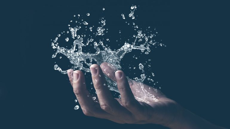 Un Ril sur demain - Être dissous dans l'eau ou transformé en compost : à quoi ressembleront les modes de sépultures de demain ?
