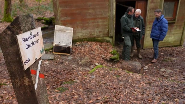 Compter les truites de la Lesse : 70 ans de tradition pour témoigner de l'évolution de l'environnement