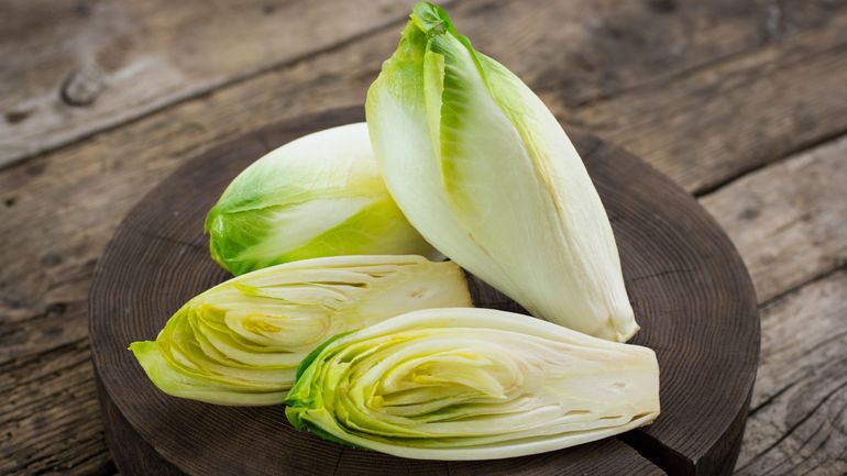 Incontournable de l'hiver : le vrai chicon pleine terre