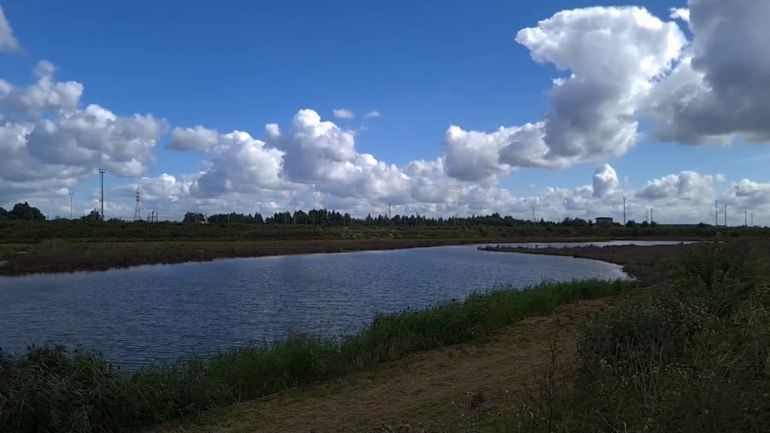 Des analyses de sol révèlent de graves pollutions suite à l'enfouissement de déchets illégaux en Campine anversoise