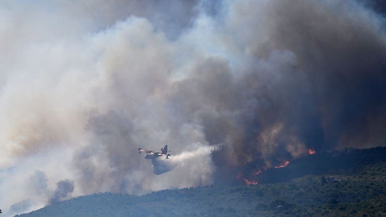 Feux de forêt en France : un nouvel incendie se déclare dans les Pyrénées-Orientales, plus de 1350 hectares ravagés depuis samedi soir