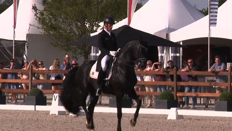 Le dressage belge n’a jamais été aussi fort