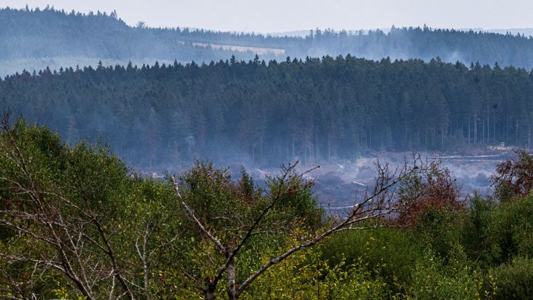 Pourquoi malgré les vagues de chaleur et d'incendies cet été, le déni climatique persiste-t-il ?