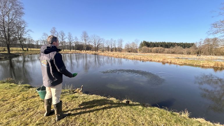 La filière d'élevage de truites bio de Wallonie est-elle vouée à disparaître ?
