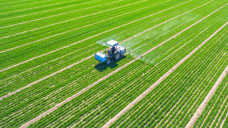 Réévaluations périodiques des pesticides : la Commission européenne veut y mettre fin, la Belgique s'y oppose