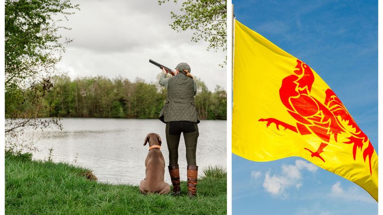 Wallonie : le permis de chasse sera bientôt numérisé