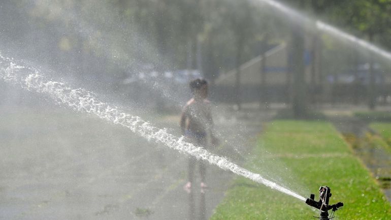 "Ni la Belgique, ni Bruxelles n’anticipent suffisamment les changements climatiques", estime Brulocalis