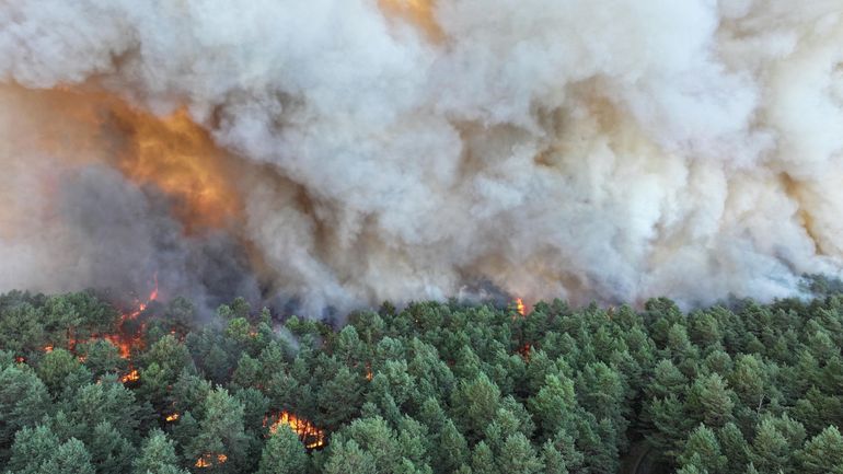 Incendies en milieu naturel : "En Belgique il n'y a pas d'enquête systématique", déplorent certains pompiers