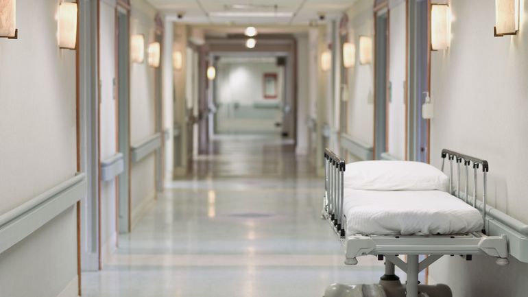 Pays-Bas : une personne est décédée après avoir été infectée par le virus du Nil occidental