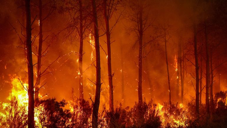 Incendies en Europe : trois des quinze plus gros incendies en dix ans ont sévi en juillet 2026