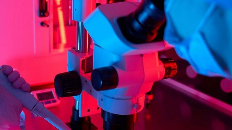 Créer des ovules humains à partir de la peau : vers une nouvelle fertilité ?