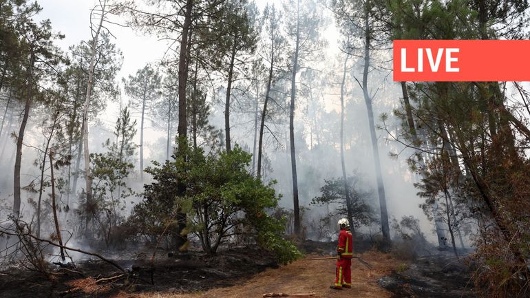 Direct - Sur le front des incendies : déjà 162 personnes interpellées en France, le Portugal également touché