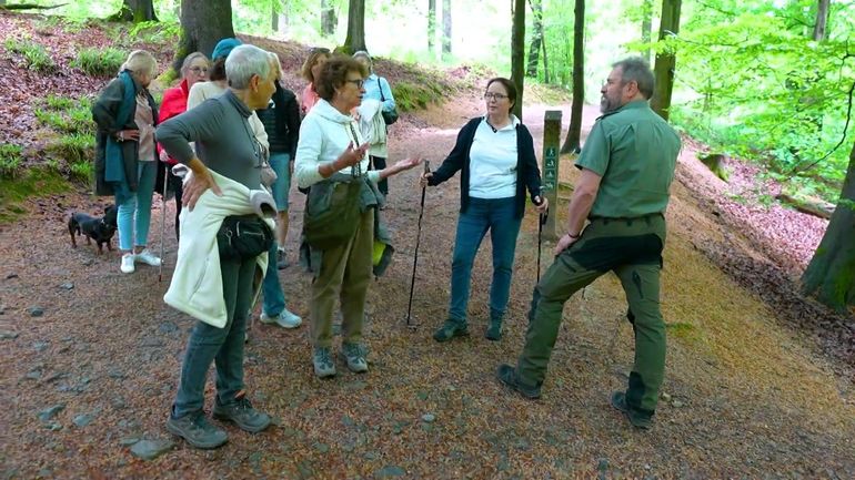 Forêt de Soignes : quelques gestes pour préserver ce poumon vert