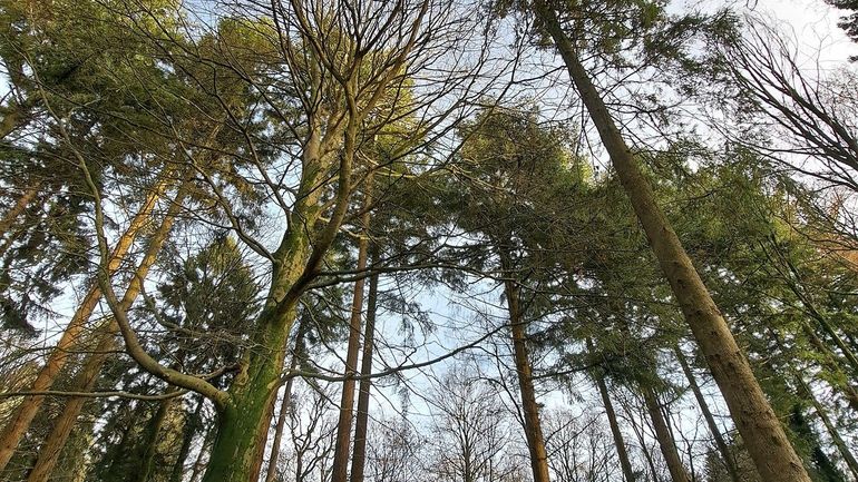 La météo en Belgique : un ciel partagé ce mercredi