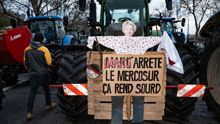 Traité UE-Mercosur: les agriculteurs sont-ils raison d'être inquiets?