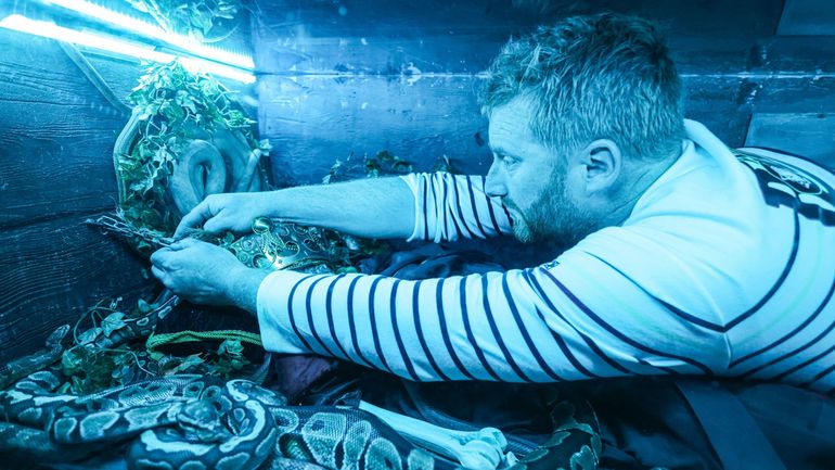 Fou rire dans Fort Boyard : quand Julien Lapraille se retrouve face à sa pire phobie