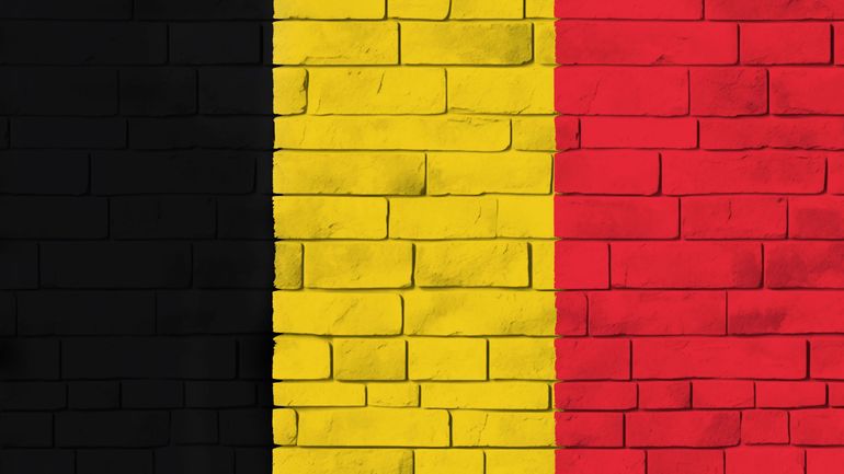 Une première rencontre inter-partis avec la société civile au sujet de la lutte contre l'extrême droite, sans le MR