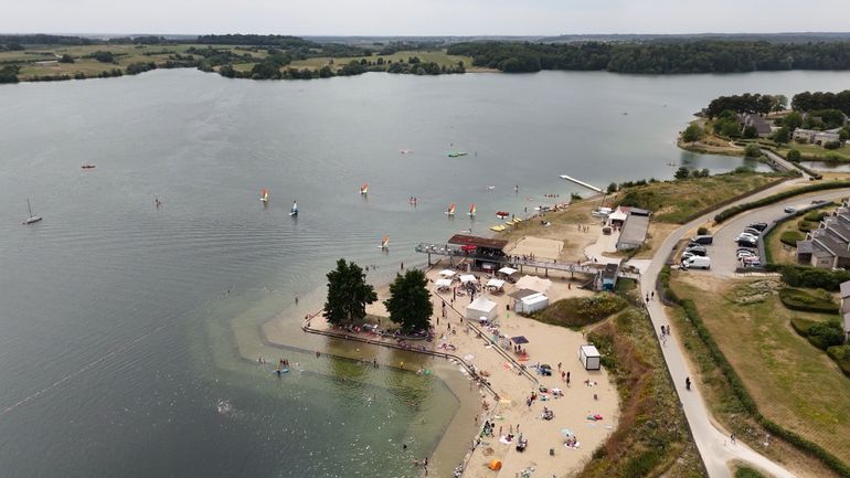 Les Lacs de l'Eau d'Heure : la baignade reste autorisée, pas de risques liés aux cyanobactéries