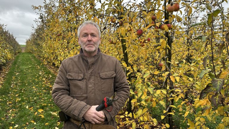 Météo clémente en décembre : quel impact pour les fruiticulteurs ? Météo clémente en décembre : quel impact pour les fruiticulteurs ?